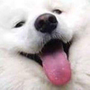 Meet your Posher, Gerardo